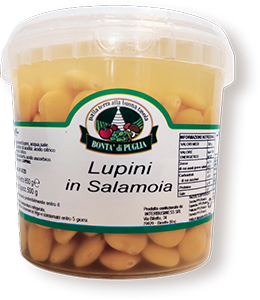 LUPINI IN SALAMOIA 