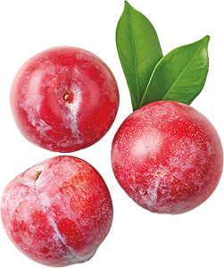 SUSINE ROSSE 