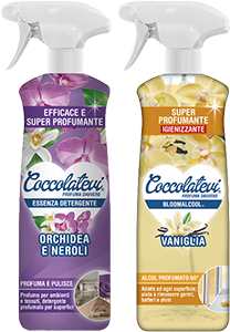 ESSENZA DETERGENTE PER AMBIANTI 