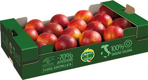 PESCHE NETTARINE NATURA È CASSETTA