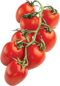 POMODORO PICCADILLY