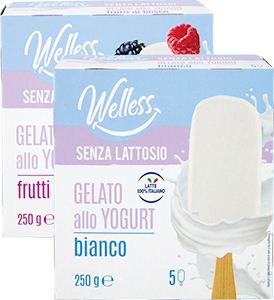 GELATO ALLO YOGURT WELLESS