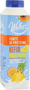 KEFIR DA BERE WELLESS