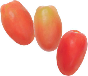 POMODORO OBLUNGO