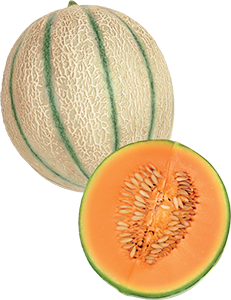 MELONE