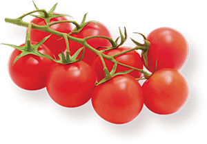 POMODORO CILIEGINO