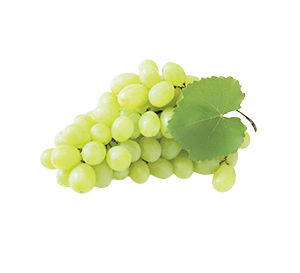 UVA BIANCA