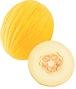 MELONE GIALLETTO