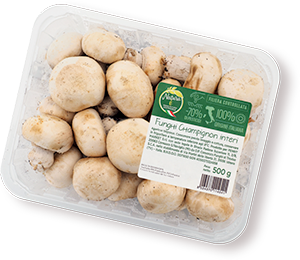 FUNGHI CHAMPIGNON NATURA È