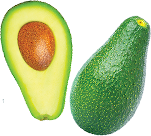 AVOCADO