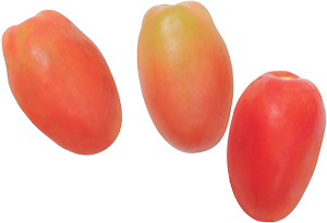 POMODORO OBLUNGO