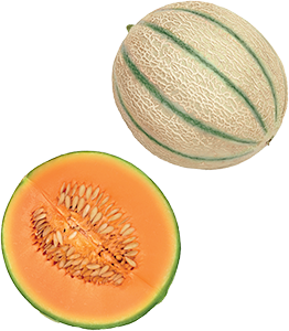 MELONE RETATO