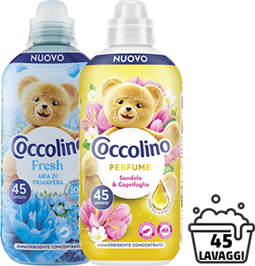 AMMORBIDENTE COCCOLINO