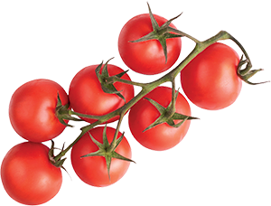 POMODORO CILIEGINO