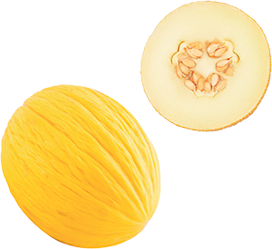 MELONE GIALLETTO