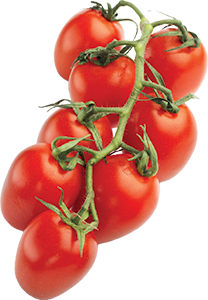 POMODORO PICCADILLY