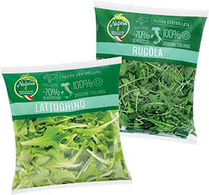 RUCOLA, LATTUGHINO, NATURA È