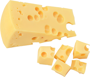 MAASDAM OLANDESE