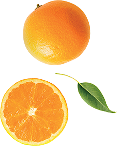 ARANCE NAVEL