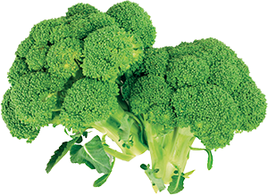BROCCOLI