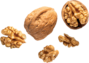 NOCI