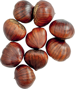 CASTAGNE