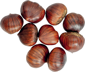 CASTAGNE