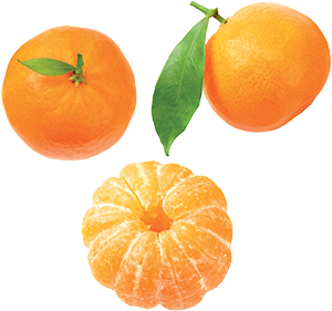 CLEMENTINE