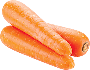 CAROTE