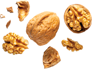 NOCI IN GUSCIO