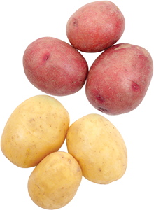 PATATE NOVELLE GIALLE, ROSSE