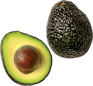 AVOCADO HASS