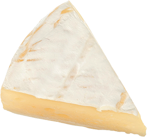 BRIE