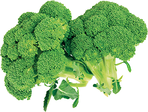 BROCCOLI