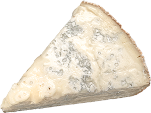 GORGONZOLA DOLCE DOP
