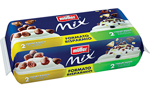 YOGURT MÜLLER MIX