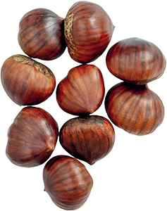 CASTAGNE
