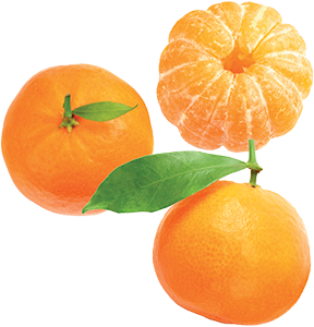 CLEMENTINE