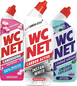 Detergente WC assortito 
