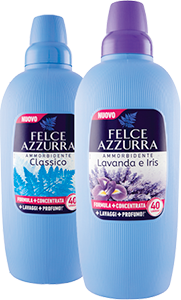 Felce Azzurra