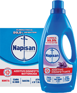 Napisan