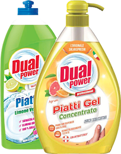 Dual Power