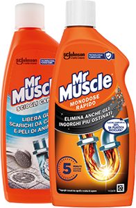 Mr Muscle