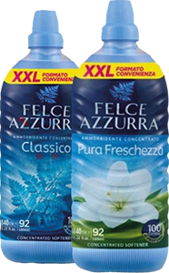 Felce Azzurra