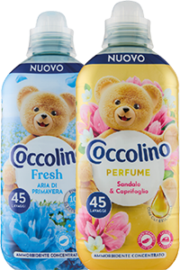 Coccolino