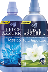 Felce Azzurra