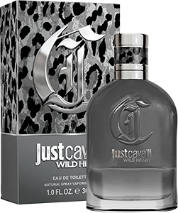 Roberto Cavalli 