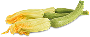 ZUCCHINE CHIARE FIORE PIEMONTE