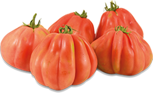 POMODORO CUORE DI BUE