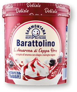 GELATO BARATTOLINO DELIZIE SAMMONTANA 